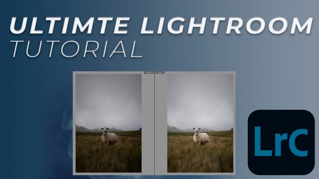 HOW, WHEN AND WHY TO TONE IN LIGHTROOM