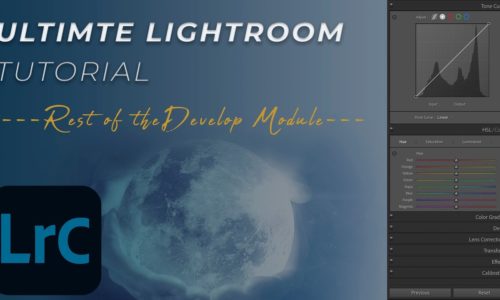 How to Use the Lightroom Develop Module to Create Stunning Photos