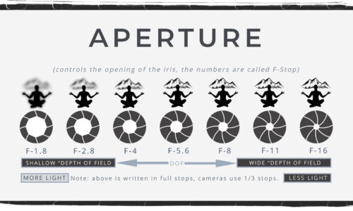 What is Aperture and Why is it Important in Photography