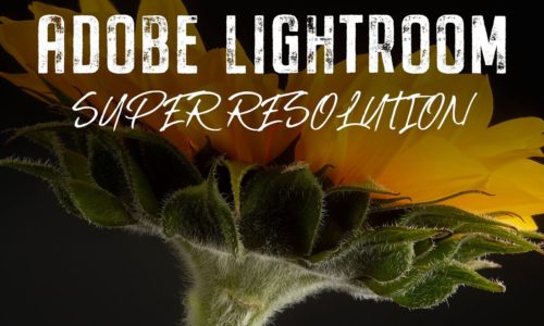 1 Step to Double your size with Lightroom’s Super Resolution