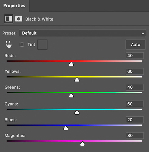 View of the black and white conversion properties box. 