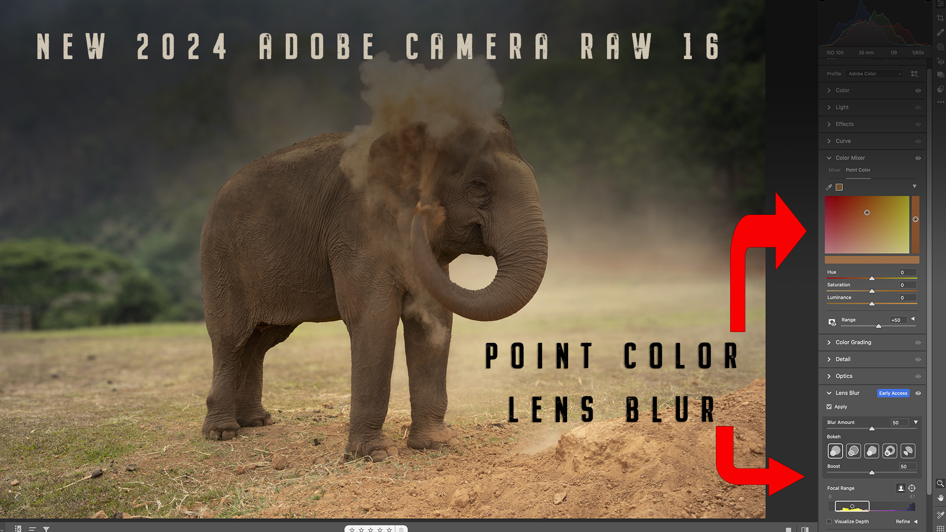 ADOBE CAMERA RAW 2023 – Version 16 LENS BLUR, POINT COLOR & MORE